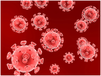发现CD4 T细胞HIV<font color="red">病毒</font>库的标志物---CD32a