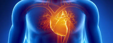 盘点 | 心血管疾病研究领域近期进展汇总