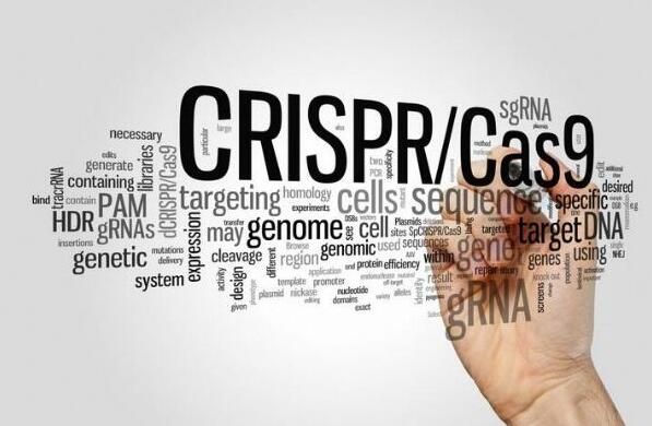 【盘点】CRISPR基因编辑技术或有望治疗癌症和HIV等顽疾