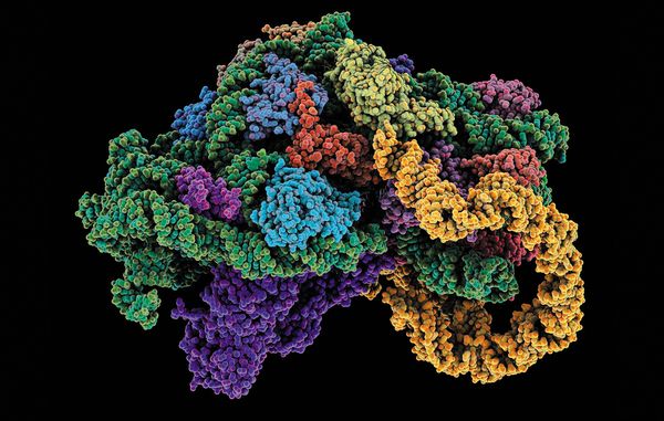 Nature：RNA 修饰研究有助表观转录组学进一步发展