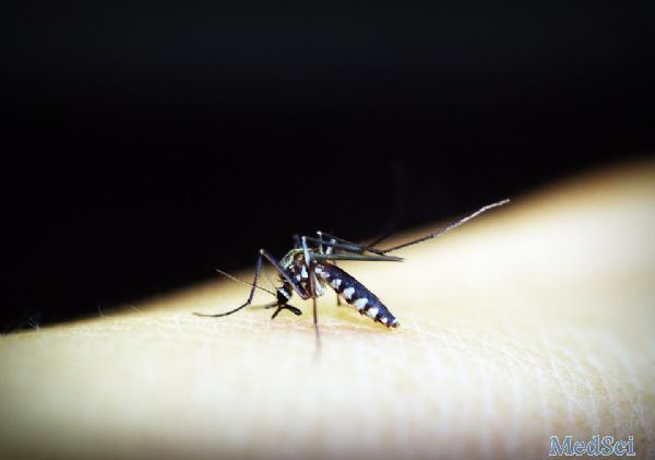 mBio：中国科学家揭示疟疾感染过程中FOSL1能调节宿主I型干扰素的应答