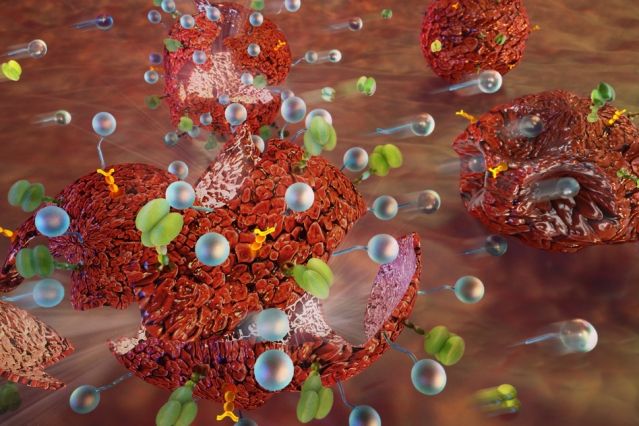 MIT 大牛发明「<font color="red">纳米</font>狗」撕扯癌细胞，大幅提升药物战斗力