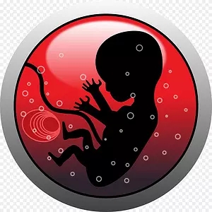 胚胎竟然在<font color="red">双</font>细胞期就拥有发育<font color="red">特异性</font>！