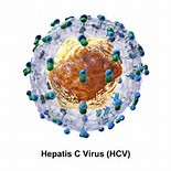 J Gastroenterol：日本人群中Elbasvir 联合grazoprevir 治疗HCV：II/III期临床研究