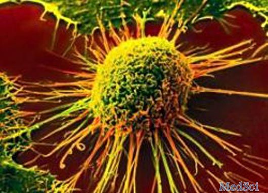 Oncotarget：科学家发现导致癌细胞自我毁灭的机制