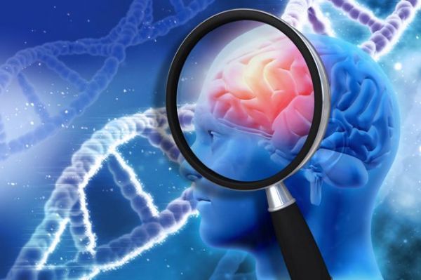 Nature Genetics：大型研究发现与脑癌相关的基因变异