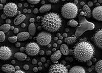 Viruses：巴西Samba病毒的微观特征
