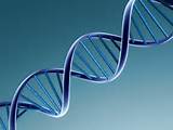 Cell Reports：为什么长寿基因功能多样化？