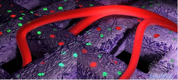 瑞典科学家成功让3D打印人体软骨细胞在<font color="red">老鼠</font>身上生长和血管化