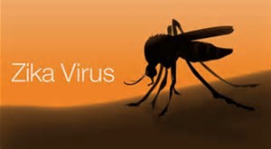 Science：接种登革热病毒和西尼罗河病毒疫苗可能增强寨卡病毒感染？