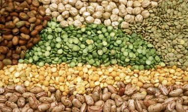 CLIN NUTR：多吃豆类，预防糖尿病