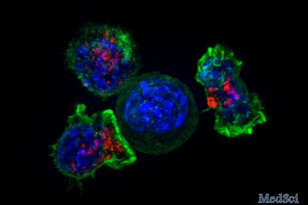 Cell Reports ：科学家发现无用DNA和RNA在癌症中的惊人影响