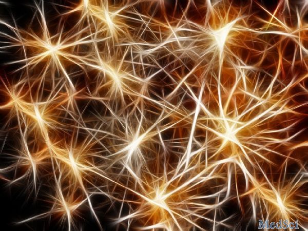 Nat Neurosci：清华大学研究者揭示长期记忆的保护机制
