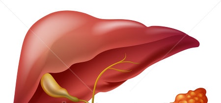 JAHA：<font color="red">大脑</font>中动脉闭塞可引起肝脏生酮作用！
