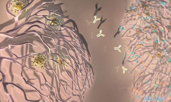 Sci Transl Med：重磅！研究揭示“癌症”免疫治疗的关键因素