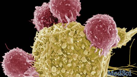 Science：个性化癌症疫苗的新“战绩”！