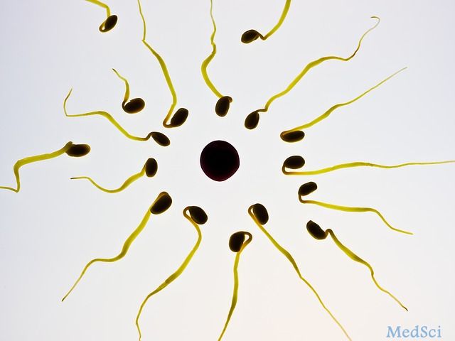 Fertil Steril.：雄激素缺乏生育力低下男性接受阿那曲唑 结局有何改善？