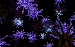 Science：美学者揭示细菌菌群的资源分时共享