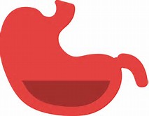 Gastroenterology：<font color="red">腰腹部</font>压迫加重胃食管反流