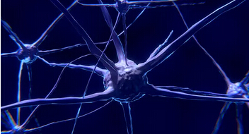 Nat Biotechnol：瑞典学者利用重编程脑细胞治疗帕金森病