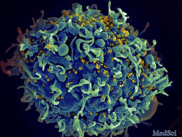 Nature：研究发现HIV“久攻不下”的原因，攻克HIV的关键点浮出水面！
