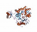 Curr Opin Biotechnol：CRISPR“<font color="red">挑战</font>”抗生素！或解决全球耐药问题！