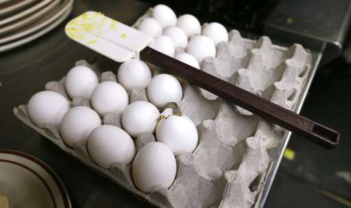 警惕：奶制品和鸡肉中的细菌位居有毒食品“榜首”