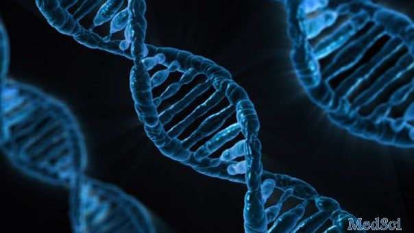 JBC：南方科技大学汪涛课题组等阐释第5个真核DNA复制源组件