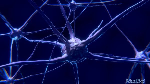 Cell Res：神经所于翔研究组揭示神经元突起形成机制
