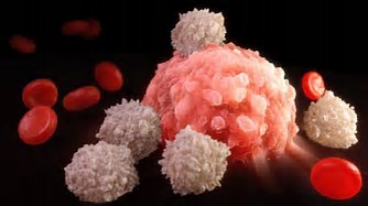 Nature：根据SLAMF7蛋白的表达决定是否使用anti-CD47治疗淋巴癌