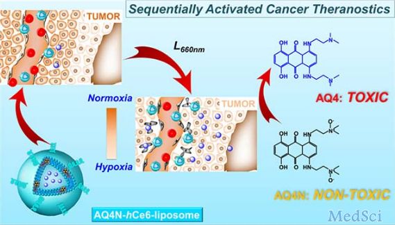 Acs Nano：克服“乏氧耐受”—实现精准高效的肿瘤治疗