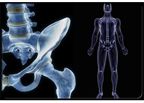 Osteoarthr Cartilage：膝髋关节置换术后长期服用阿片<font color="red">类药物</font>的影响