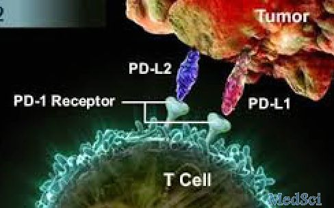 Blood：抗PD1抗体对于NK/T细胞淋巴瘤病人有奇效