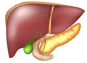 JEM：抑制肝细胞c-Fos活性降低肝胆固醇减少癌变风险