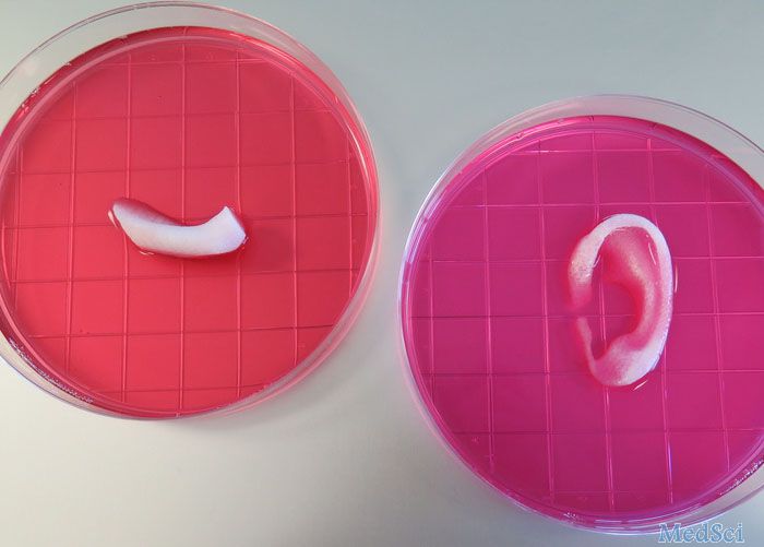 人体细胞竟成了3D打印的材料，用来制造器官