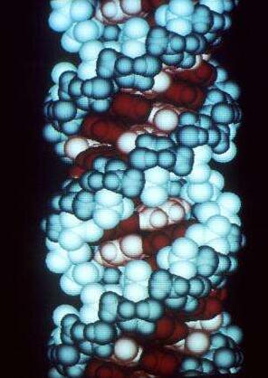 Nature、Cell两篇文章发现10种用于疾病诊断的CRISPR<font color="red">酶</font>