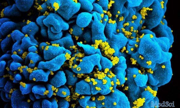 Scientific Reports：是“谁”促使HIV感染变得不可控？