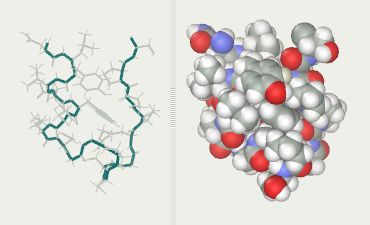 FASEB J：<font color="red">糖尿病</font>治疗新进展：双肽PGLP-1有效增强胰岛素敏感性！