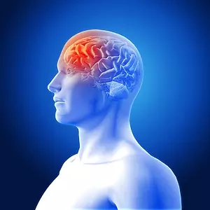 Neurology：这个常见突变可以预测阿兹海默病恶化风险