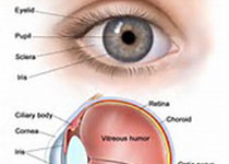 JAMA Ophthalmol：青光眼眼内压测量方法比较
