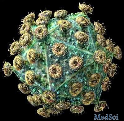 PNAS：导入细胞表面抗体，对抗艾滋病