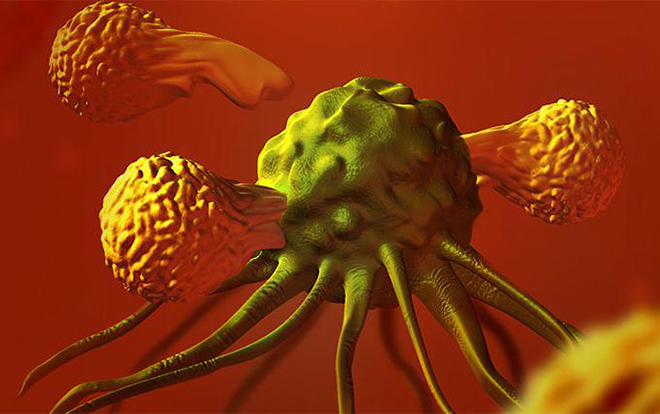 Sci Immun：意外惊喜！神经学家“偶遇”新型癌症免疫疗法