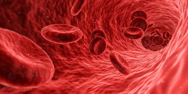 Cell：缺乏<font color="red">维生素</font>A会让你丢失宝贵的造血干细胞