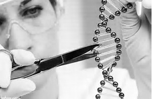 首次在新的临床试验中进行体内人基因组编辑测试