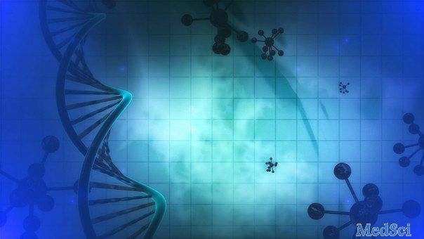 Brief Funct Genomics：代谢和表观遗传学在癌症发展中的重要作用