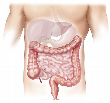 Hepatology：王建設(shè)團(tuán)隊(duì)等找到遺傳性膽汁淤積癥“新元兇”