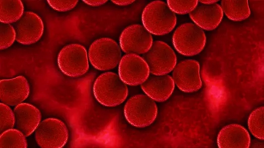 Leukemia：新<font color="red">见解</font>：白血病是如何形成的？