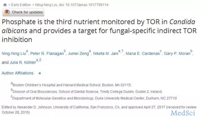 PNAS：抗真菌感染新策略：首次发现雷帕霉素靶蛋白TOR感知磷酸
