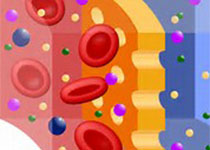 Blood：VEGF,<font color="red">急性</font>淋巴细胞<font color="red">白血病</font>侵入中枢神经系统的新机制