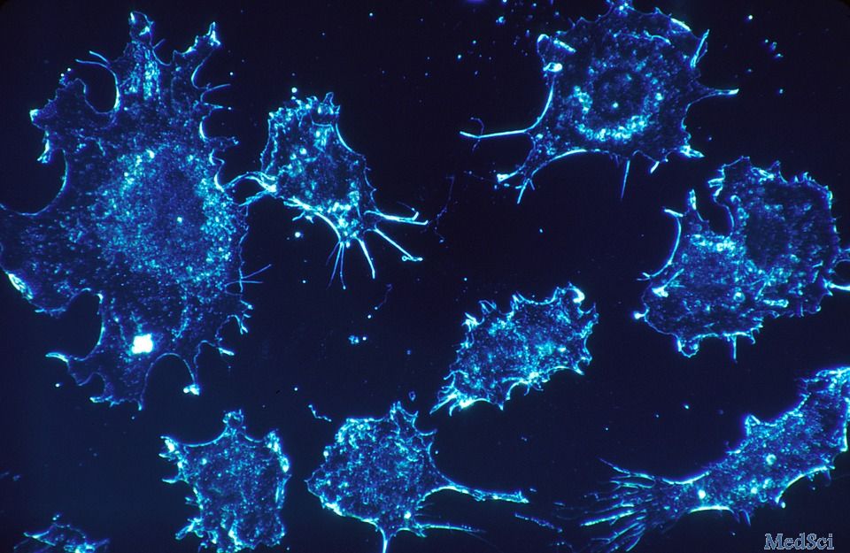 Cell:甲醛致癌终坐实！BRCA2变异和饮酒者更危险！